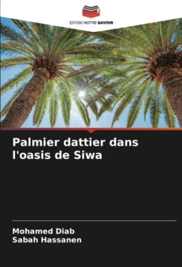 Palmier dattier dans l'oasis de Siwa
