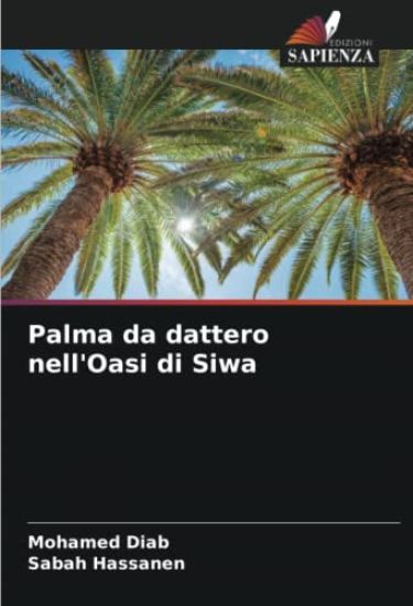Palma da dattero nell'Oasi di Siwa