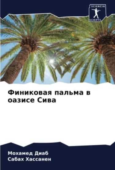 Finikowaq pal'ma w oazise Siwa
