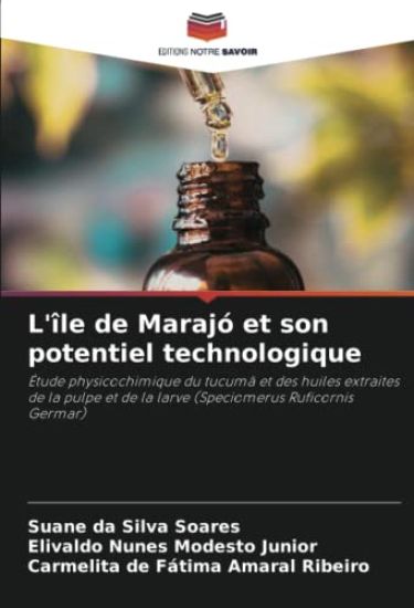L'île de Marajó et son potentiel technologique