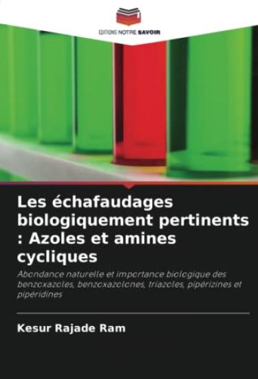 Les échafaudages biologiquement pertinents : Azoles et amines cycliques