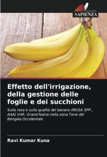 Effetto dell'irrigazione, della gestione delle foglie e dei succhioni