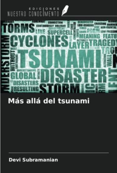 Más allá del tsunami