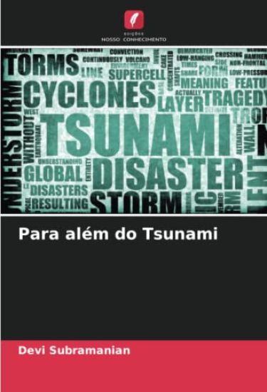 Para além do Tsunami