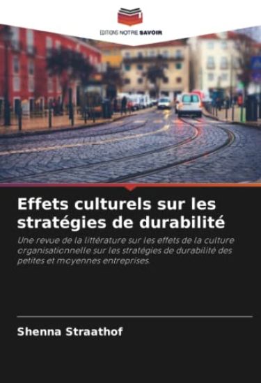 Effets culturels sur les stratégies de durabilité