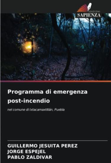 Programma di emergenza post-incendio