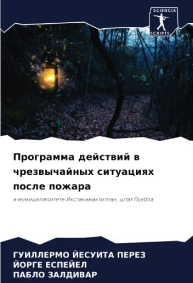 Programma dejstwij w chrezwychajnyh situaciqh posle pozhara