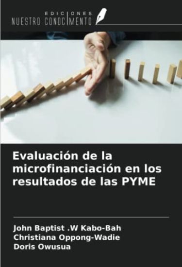 Evaluación de la microfinanciación en los resultados de las PYME