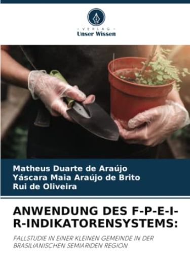 ANWENDUNG DES F-P-E-I-R-INDIKATORENSYSTEMS: