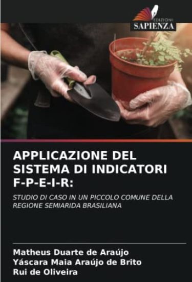 APPLICAZIONE DEL SISTEMA DI INDICATORI F-P-E-I-R: