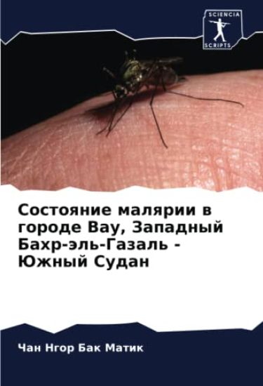 Sostoqnie malqrii w gorode Vau, Zapadnyj Bahr-äl'-Gazal' - Juzhnyj Sudan