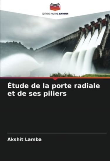 Étude de la porte radiale et de ses piliers