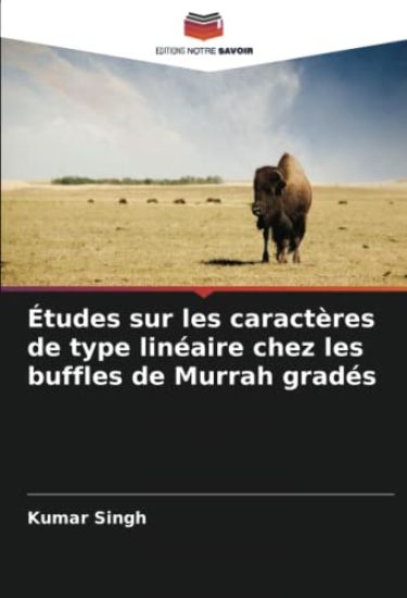 Études sur les caractères de type linéaire chez les buffles de Murrah gradés