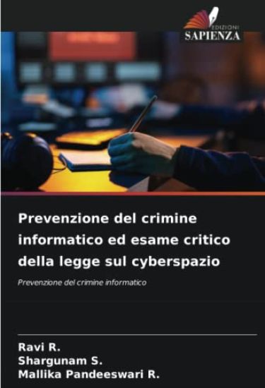 Prevenzione del crimine informatico ed esame critico della legge sul cyberspazio