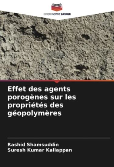 Effet des agents porogènes sur les propriétés des géopolymères
