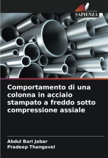 Comportamento di una colonna in acciaio stampato a freddo sotto compressione assiale