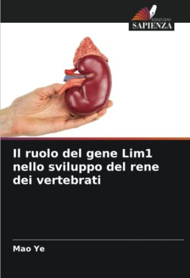 Il ruolo del gene Lim1 nello sviluppo del rene dei vertebrati