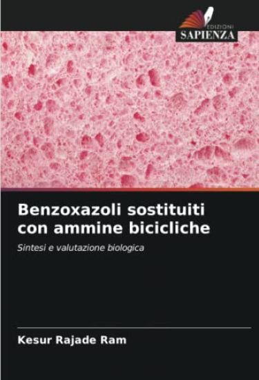 Benzoxazoli sostituiti con ammine bicicliche