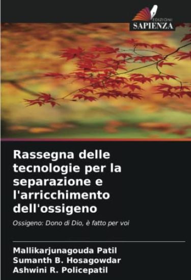 Rassegna delle tecnologie per la separazione e l'arricchimento dell'ossigeno