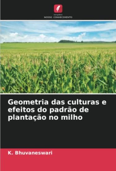 Geometria das culturas e efeitos do padrão de plantação no milho