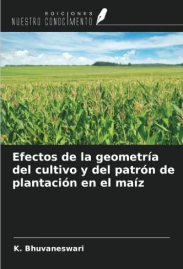 Efectos de la geometría del cultivo y del patrón de plantación en el maíz