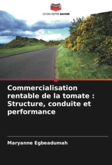Commercialisation rentable de la tomate : Structure, conduite et performance
