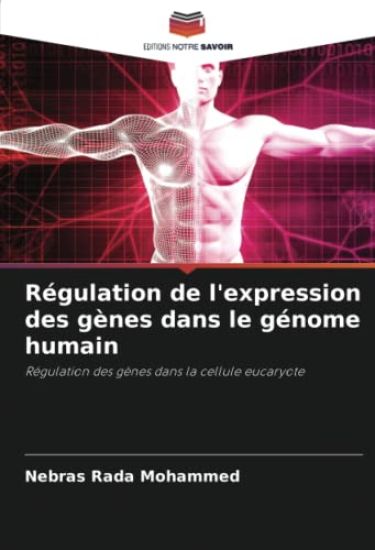 Régulation de l'expression des gènes dans le génome humain