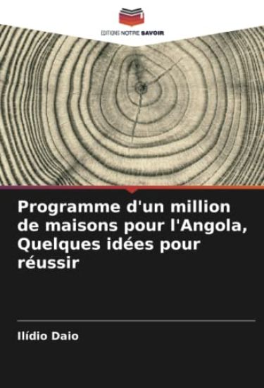 Programme d'un million de maisons pour l'Angola, Quelques idées pour réussir