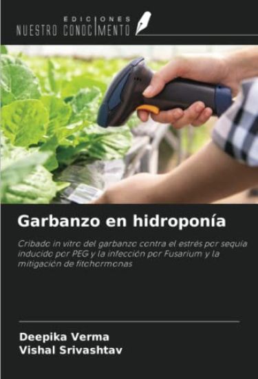 Garbanzo en hidroponía