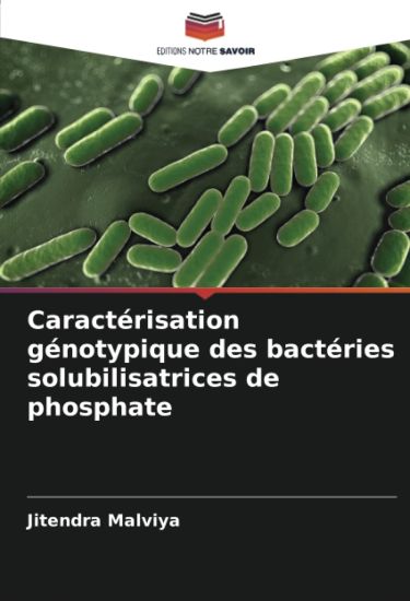 Caractérisation génotypique des bactéries solubilisatrices de phosphate