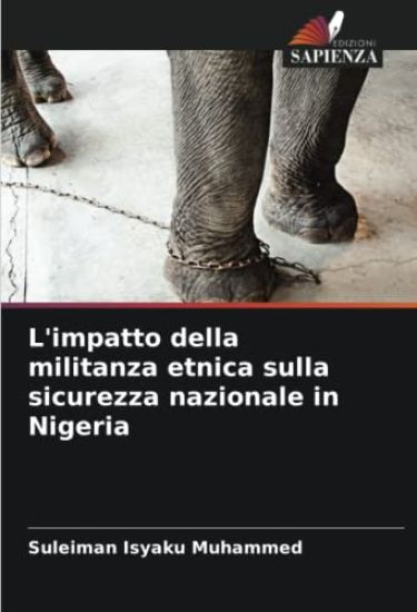L'impatto della militanza etnica sulla sicurezza nazionale in Nigeria