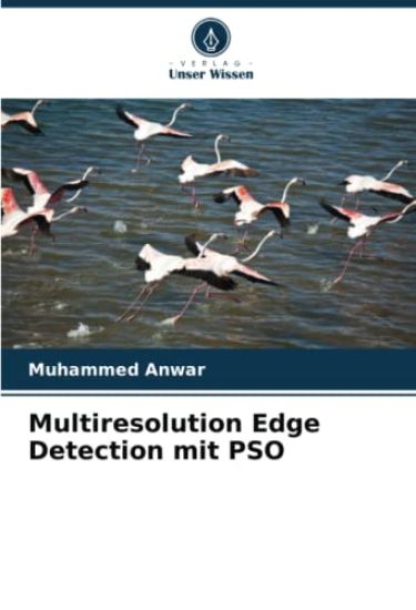 Multiresolution Edge Detection mit PSO