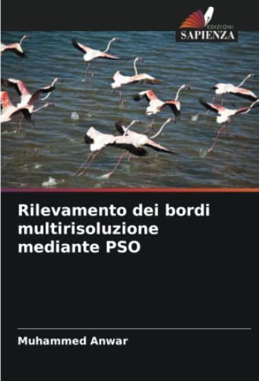 Rilevamento dei bordi multirisoluzione mediante PSO