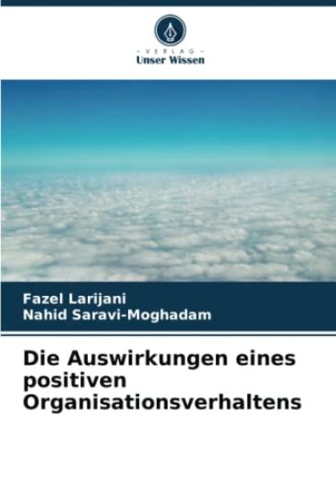 Die Auswirkungen eines positiven Organisationsverhaltens