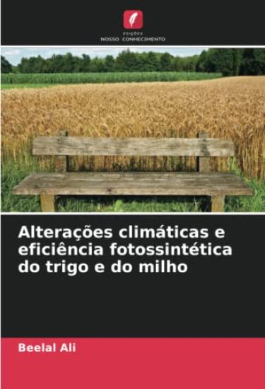 Alterações climáticas e eficiência fotossintética do trigo e do milho