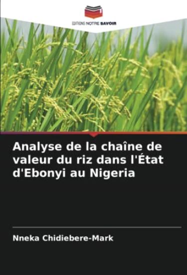 Analyse de la chaîne de valeur du riz dans l'État d'Ebonyi au Nigeria