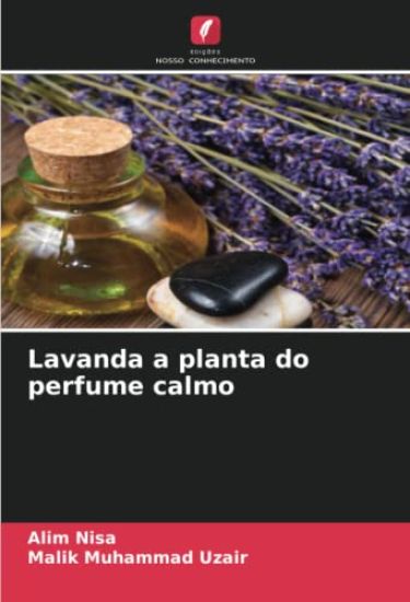 Lavanda a planta do perfume calmo
