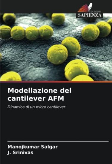 Modellazione del cantilever AFM