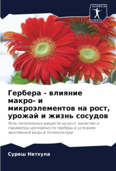 Gerbera - wliqnie makro- i mikroälementow na rost, urozhaj i zhizn' sosudow