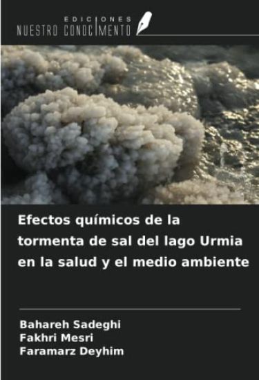 Efectos químicos de la tormenta de sal del lago Urmia en la salud y el medio ambiente