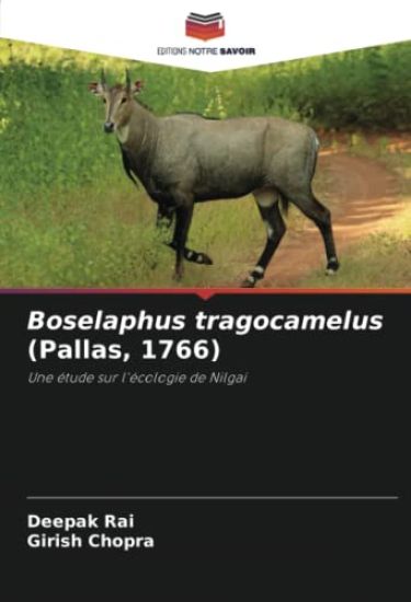 Boselaphus tragocamelus (Pallas, 1766)