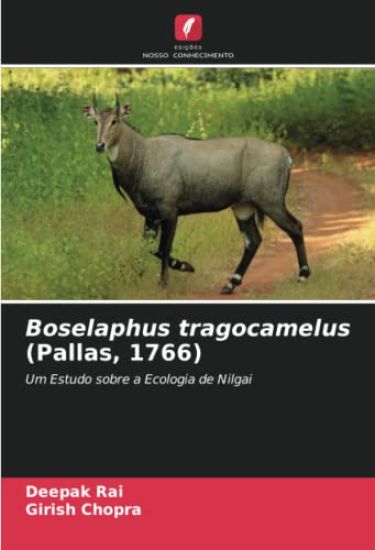 Boselaphus tragocamelus (Pallas, 1766)