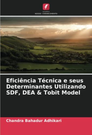 Eficiência Técnica e seus Determinantes Utilizando SDF, DEA & Tobit Model