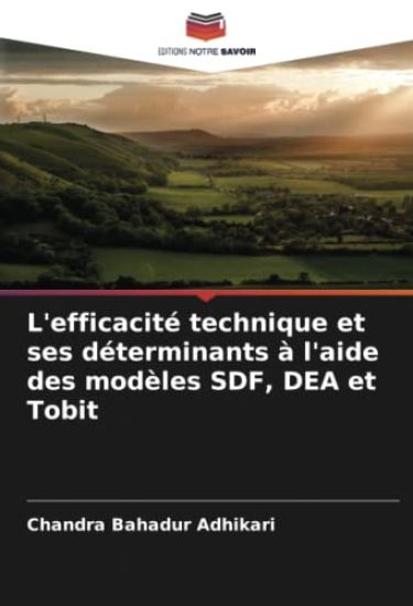 L'efficacité technique et ses déterminants à l'aide des modèles SDF, DEA et Tobit
