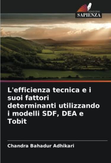 L'efficienza tecnica e i suoi fattori determinanti utilizzando i modelli SDF, DEA e Tobit