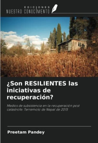 ¿Son RESILIENTES las iniciativas de recuperación?