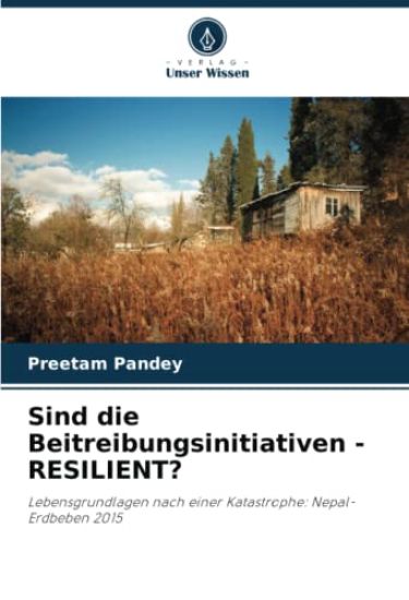 Sind die Beitreibungsinitiativen - RESILIENT?