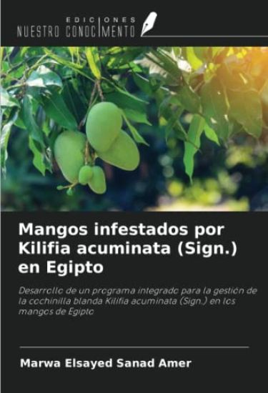 Mangos infestados por Kilifia acuminata (Sign.) en Egipto
