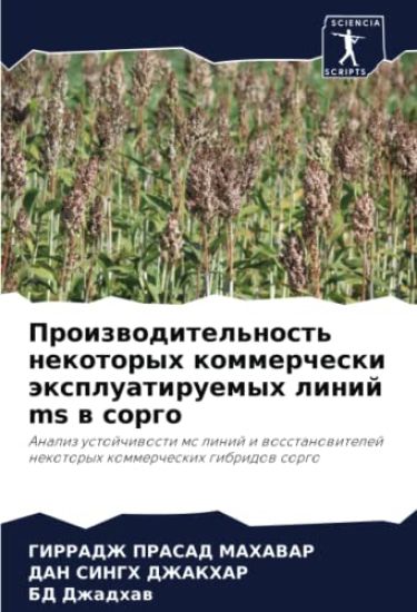 Proizwoditel'nost' nekotoryh kommercheski äxpluatiruemyh linij ms w sorgo