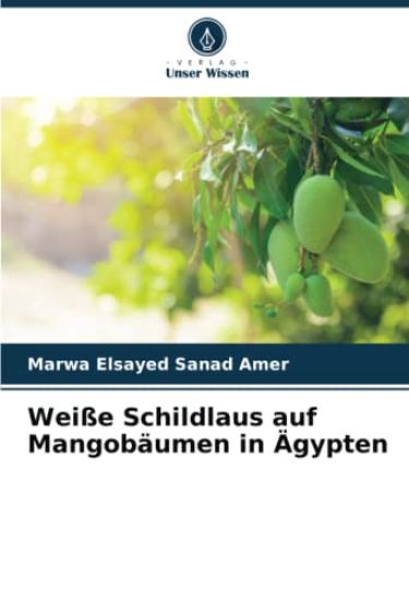 Weiße Schildlaus auf Mangobäumen in Ägypten